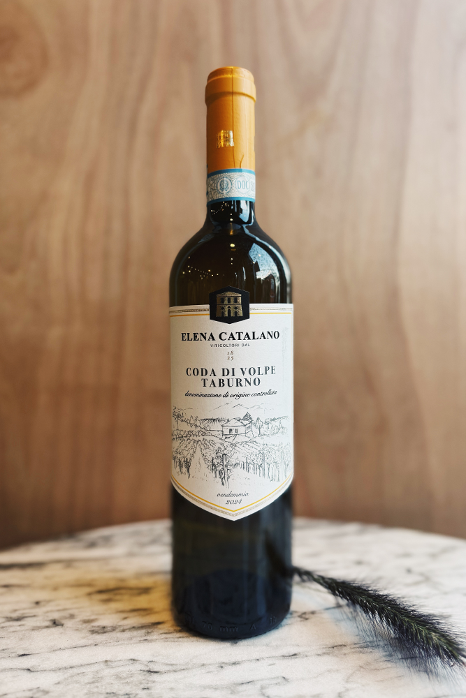 Elena Catalano - Coda Di Volpe