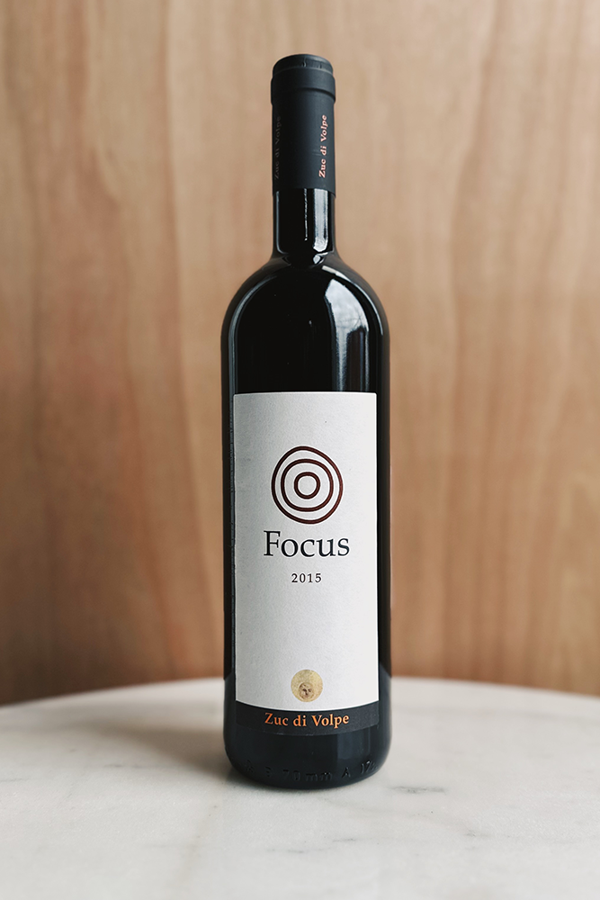 Volpe Pasini - Focus