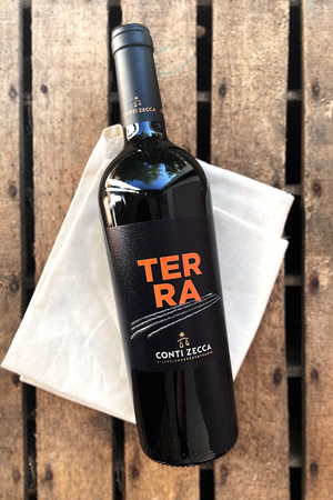 Conti Zecca - Terra